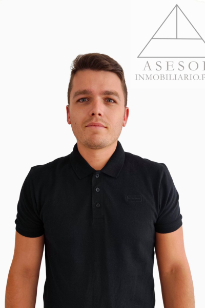 Diseño sin título